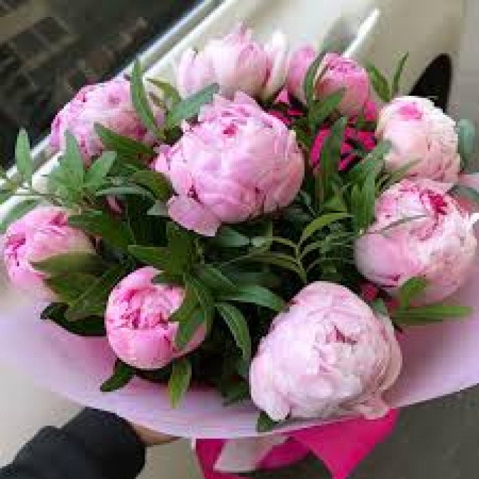 Пион древовидный в Боровом