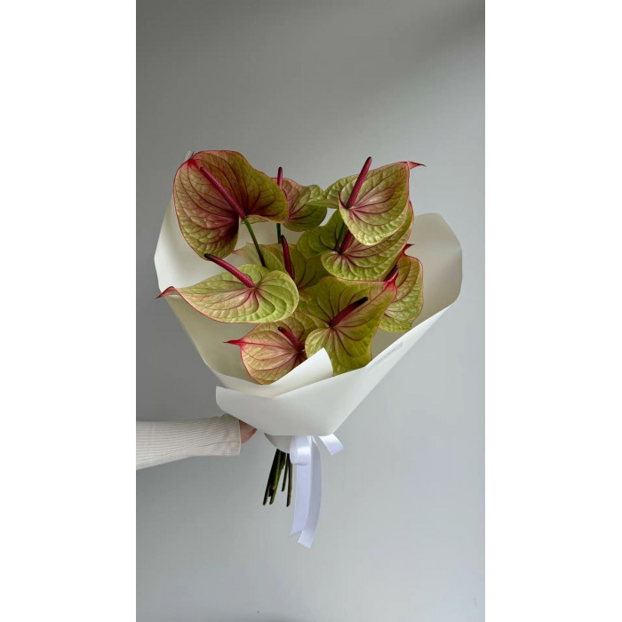 Антуриумы в Боровом