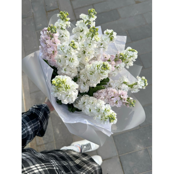 Маттиола в Боровом