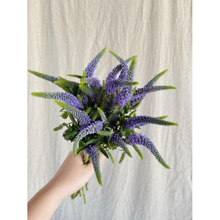 Вероника в Боровом