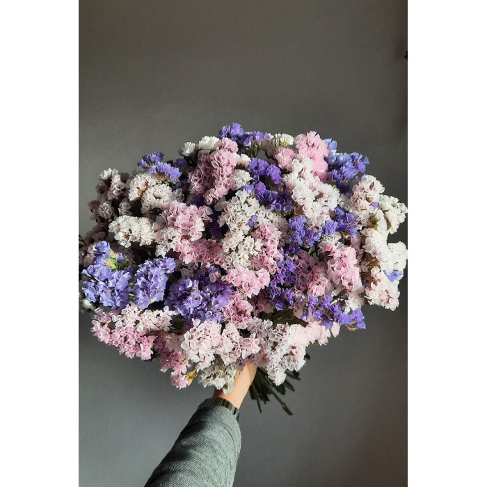 Статица (Лимониум) в Боровом