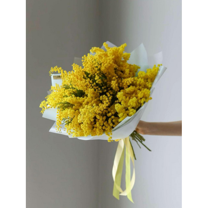 Мимоза в Боровом