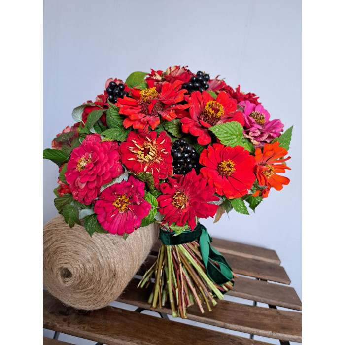 Циния в Боровом