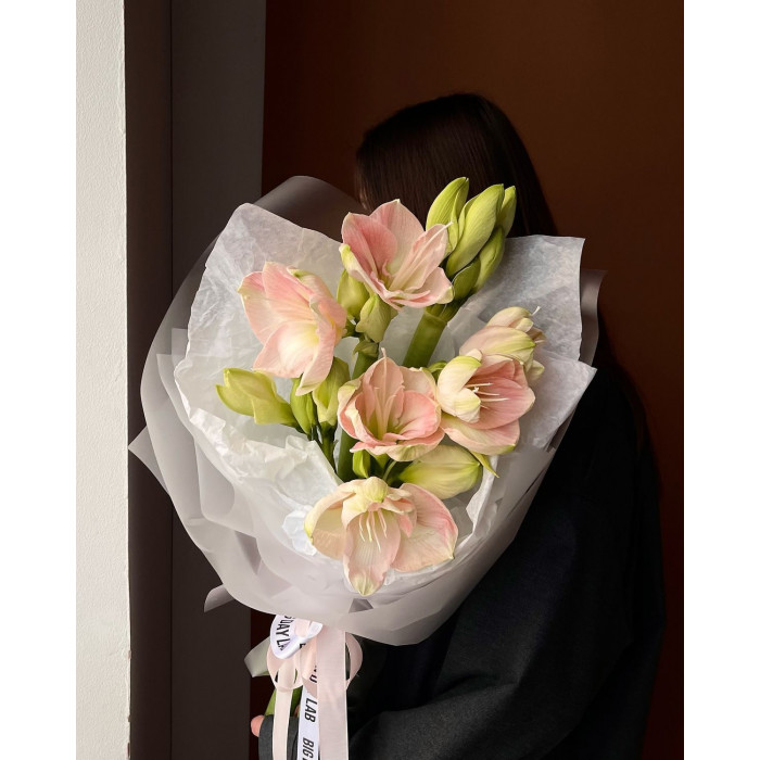 Амариллис в Боровом