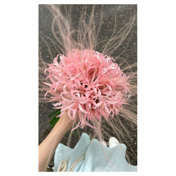 Нерине в Боровом