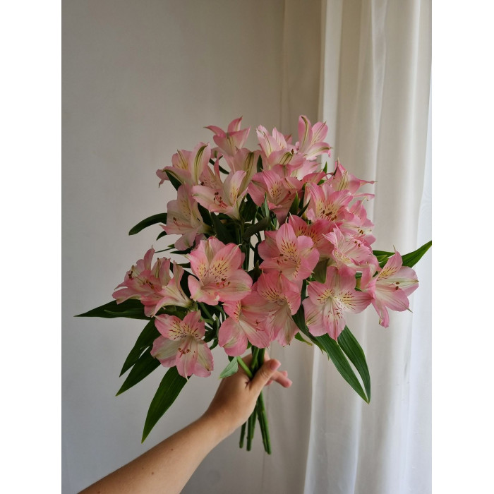 Альпиния в Боровом