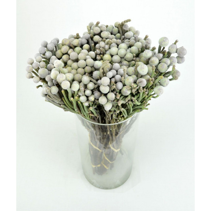 Бруния в Боровом