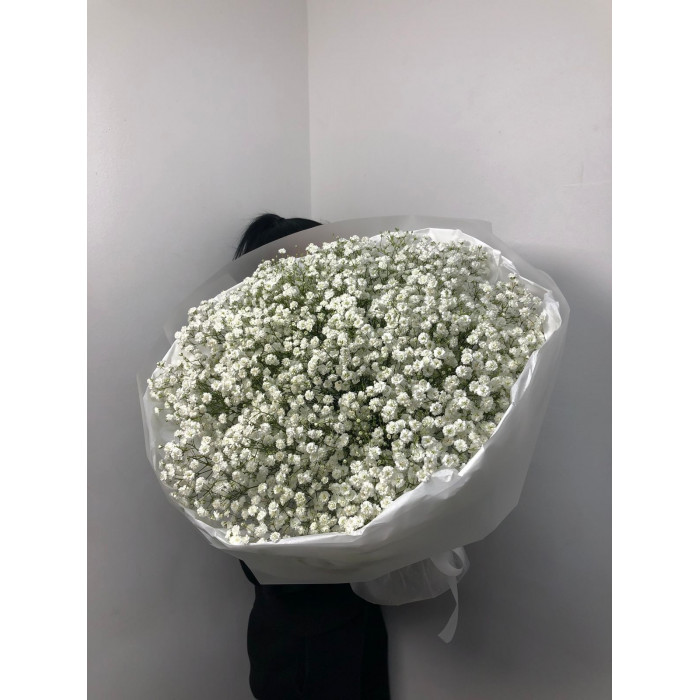 Гипсофила классическая в Боровом