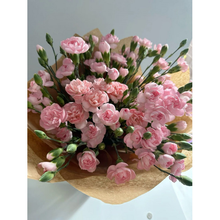 Кустовые гвоздики в Боровом