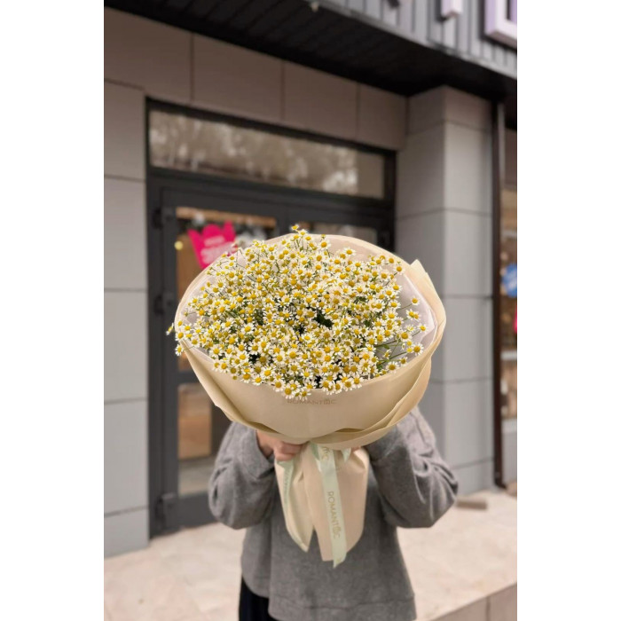 Танацетум в Боровом